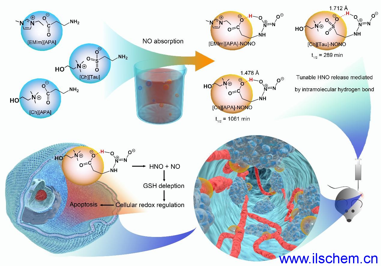 Monils - 默尼離子液體